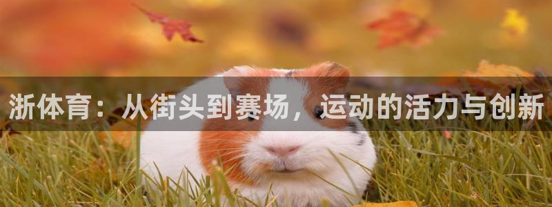 凯捷体育招商电话是多少啊：浙体育：从街头到赛场，运动的活力与 