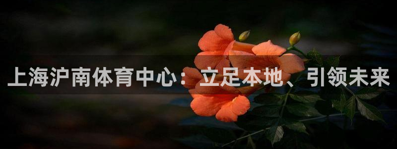 凯捷体育平台注册要钱吗安全吗：上海沪南体育中心：立足本地、引