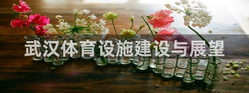 凯捷体育联系电话：武汉体育设施建设与展望