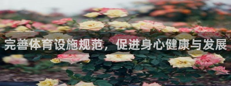 凯捷体育软件：完善体育设施规范，促进身心健康与发展 