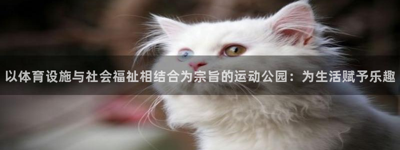 凯捷体育软件：以体育设施与社会福祉相结合为宗旨的运动公园：为