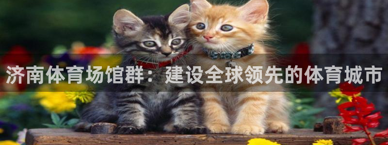 凯捷体育招商电话是多少：济南体育场馆群：建设全球领先的体育城 