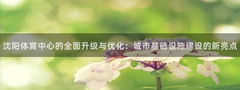 德国凯捷体育集团：沈阳体育中心的全面升级与优化：城市基础设施