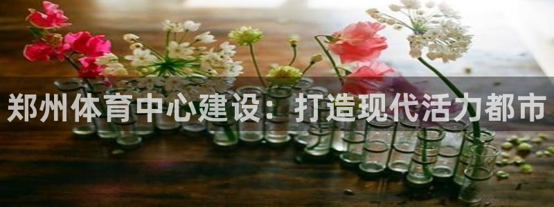 凯捷体育代理：郑州体育中心建设：打造现代活力都市 