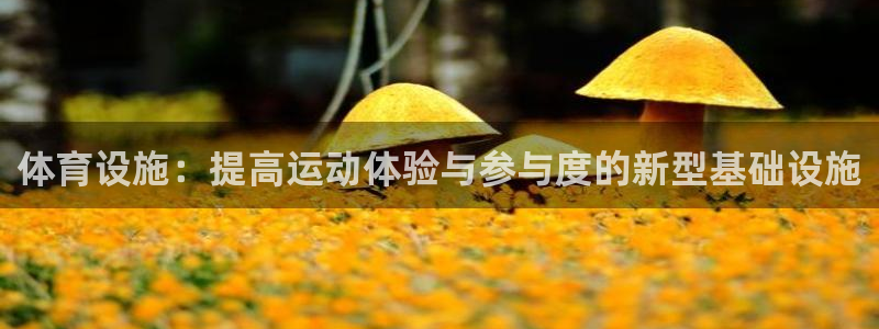 凯捷体育平台假的吗是真的吗：体育设施：提高运动体验与参与度的