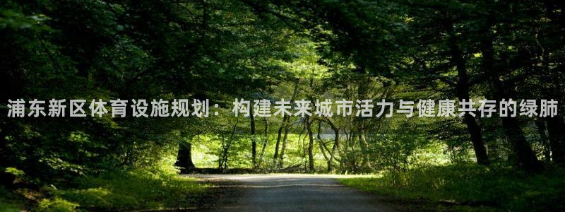 凯捷体育招商电话是多少号码：浦东新区体育设施规划：构建未来城