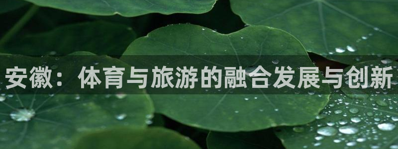 凯捷体育是干嘛的公司：安徽：体育与旅游的融合发展与创新