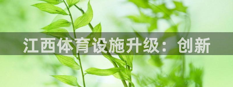 凯捷体育招商电话：江西体育设施升级：创新